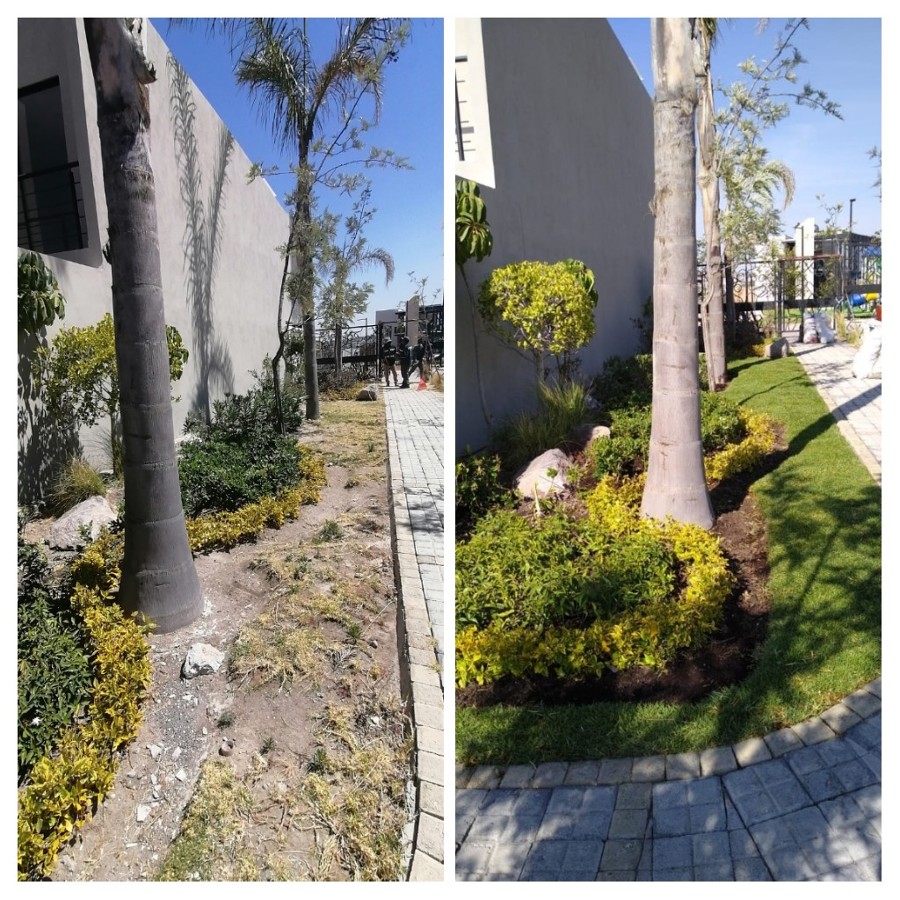 Cambio de imagen en un jardin de acceso a residencial
