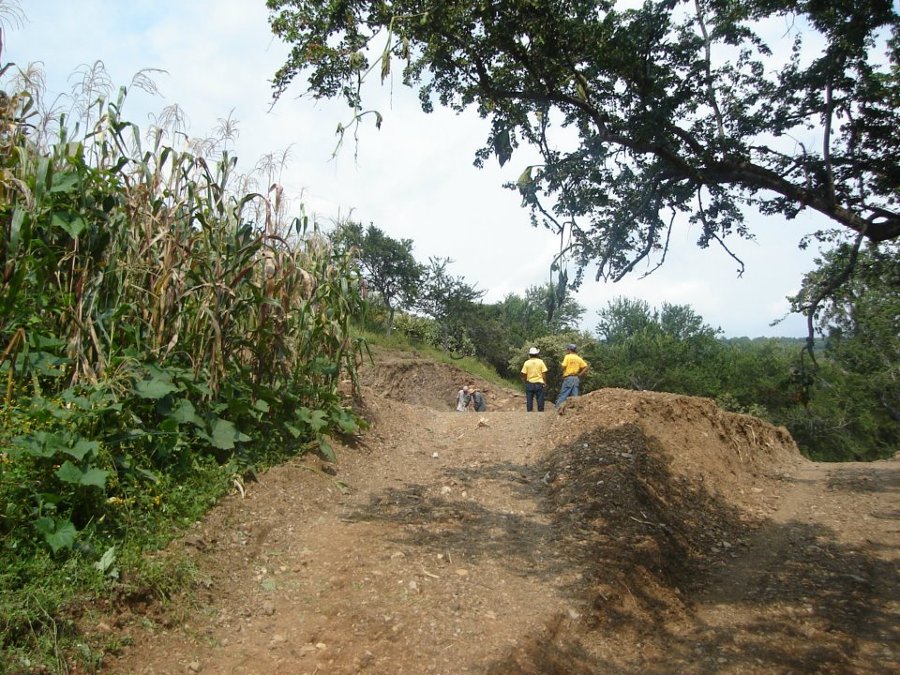 Camino y terracería