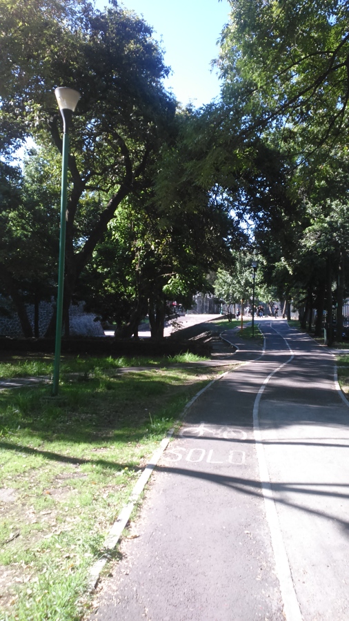 camino verde de Ciudad Universitaria