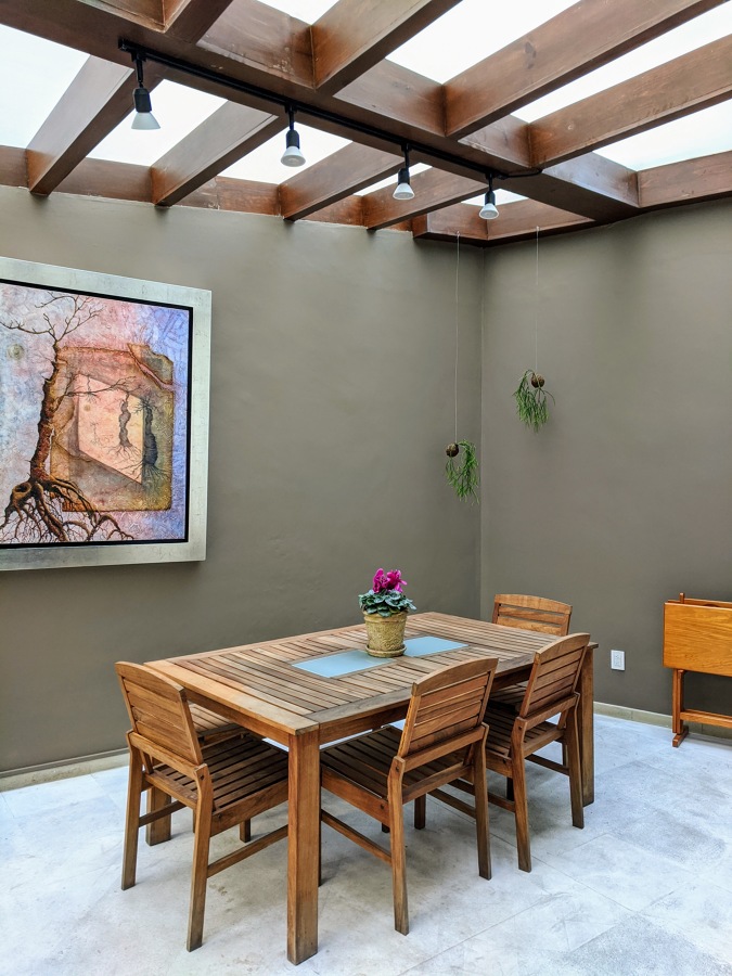 Centro de Mesa y Kokedamas Colgantes en Veranda