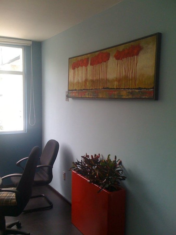 Clínica Col. roma, Rayos x consultorio