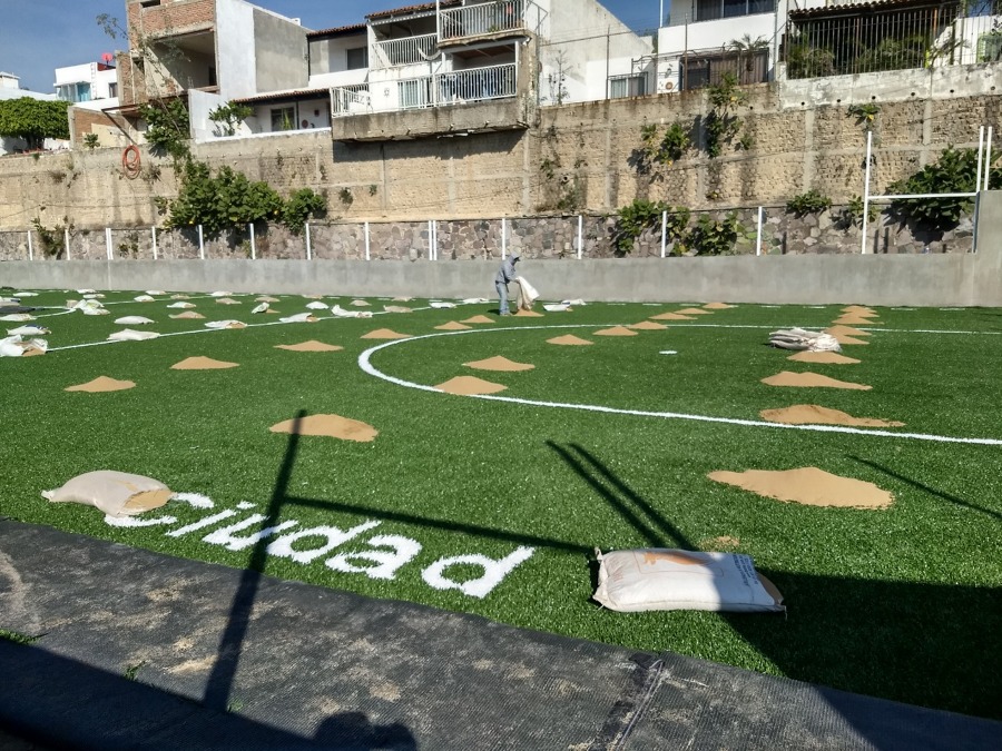 Colocación de césped