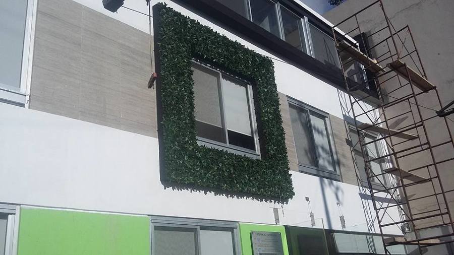 Colocación de muro verde en ventana