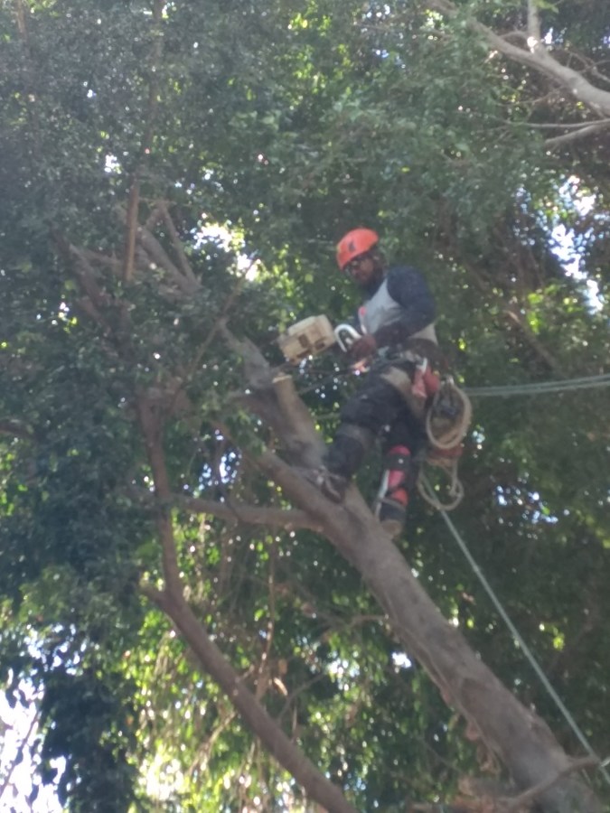 Colocando al polea de bajada.
