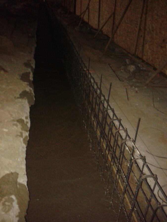 Comienzos del proyecto