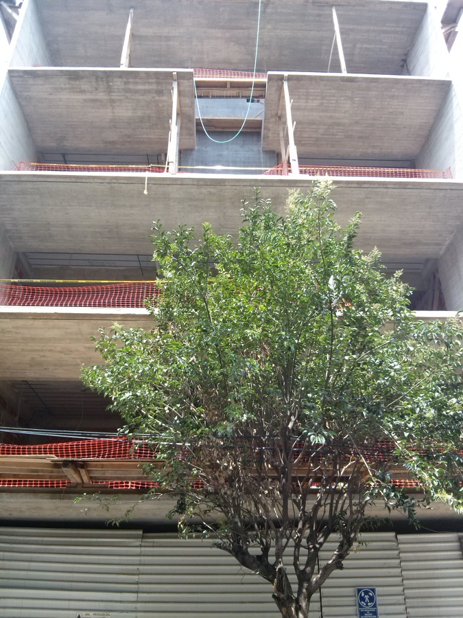 CONSTRUCCION DE EDIFICIO