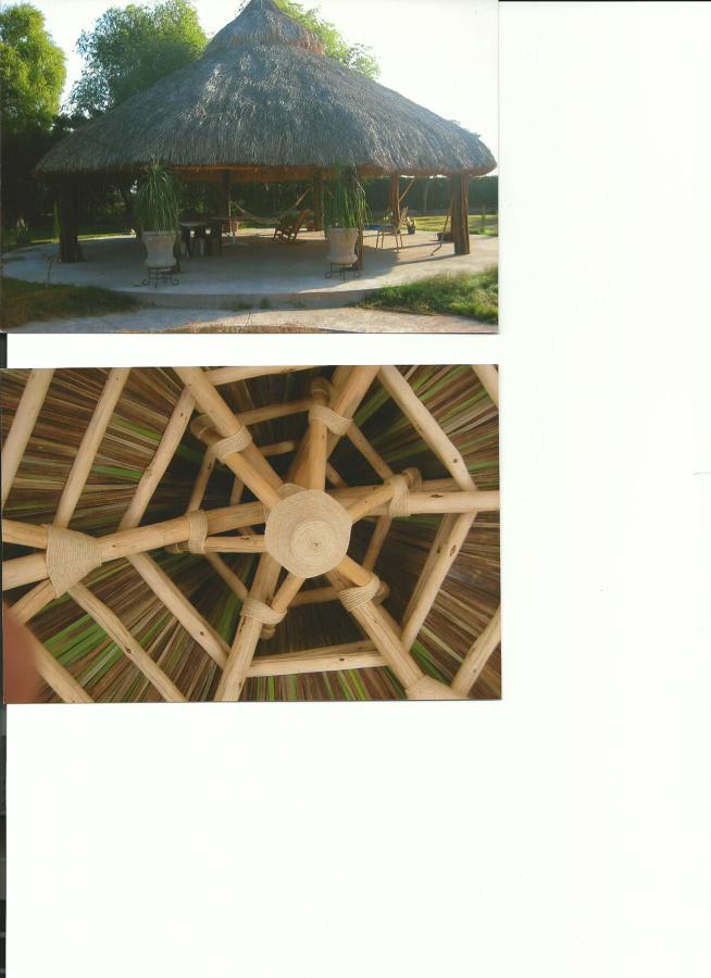 construcción de palapas