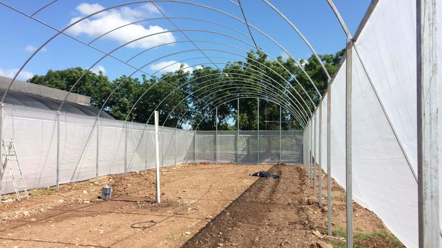 Construcción proceso