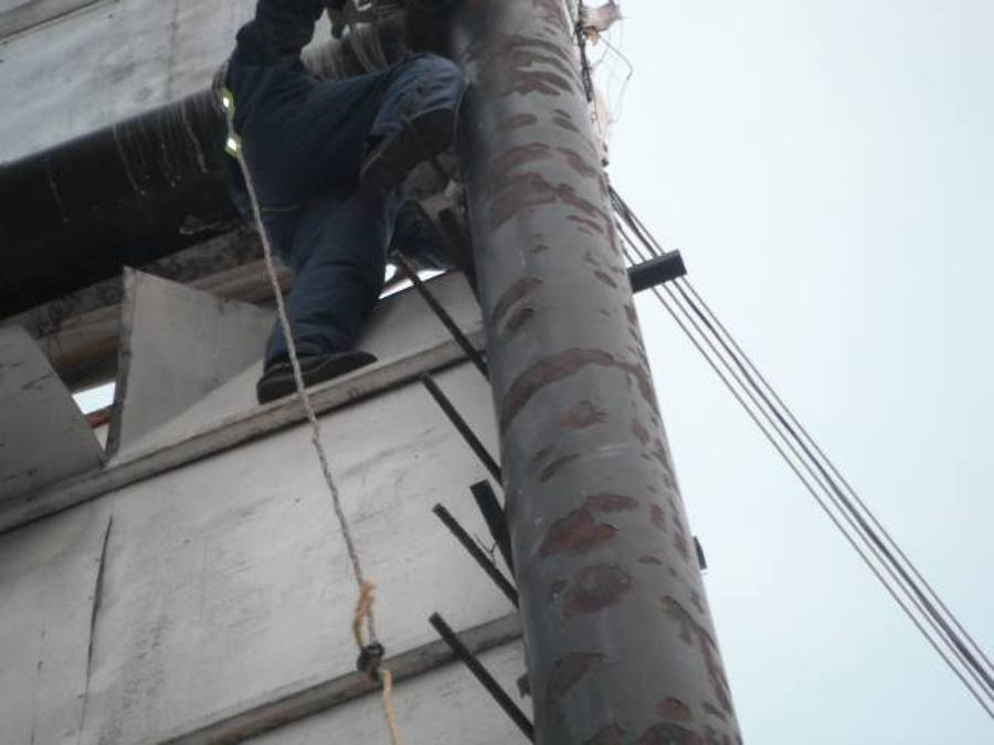 control de plagas en altutas 