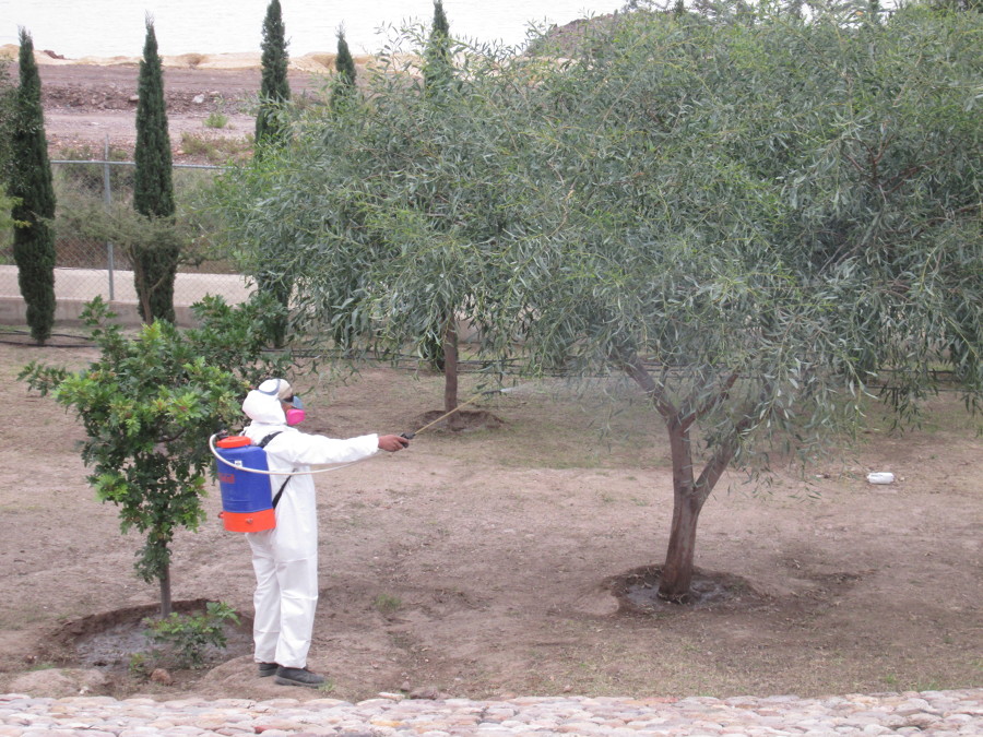 Control Fitosanitario de Plagas y Enfermedades.