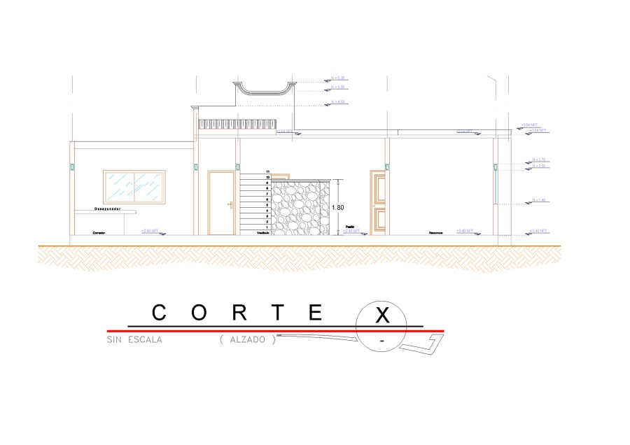 CORTE X