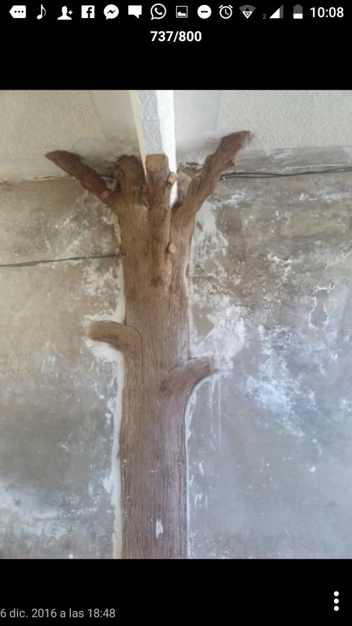 Corteza de árbol