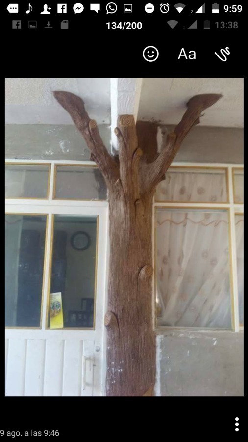 Corteza de arbol