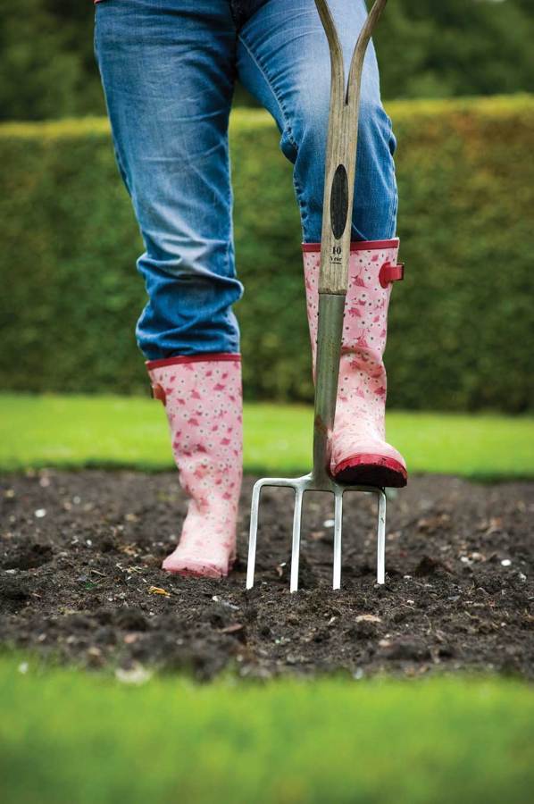 cultivando