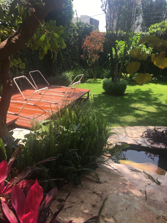 Deck de madera