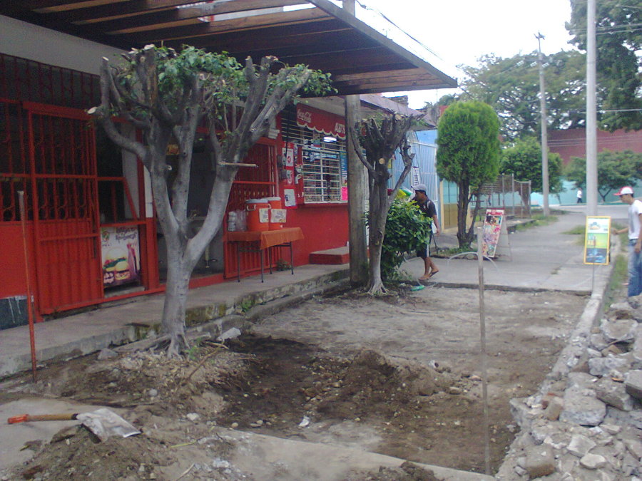 Demolición de Piso Existente