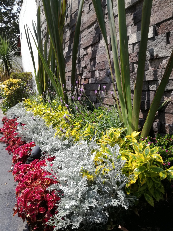 DISEÑO DE JARDINERÍA