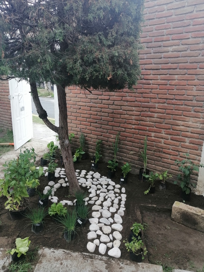 Diseño de plantación de jardin Comestible