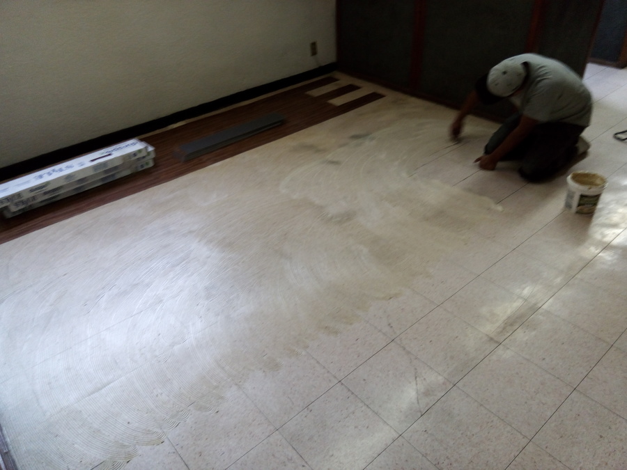 empezando la colocación