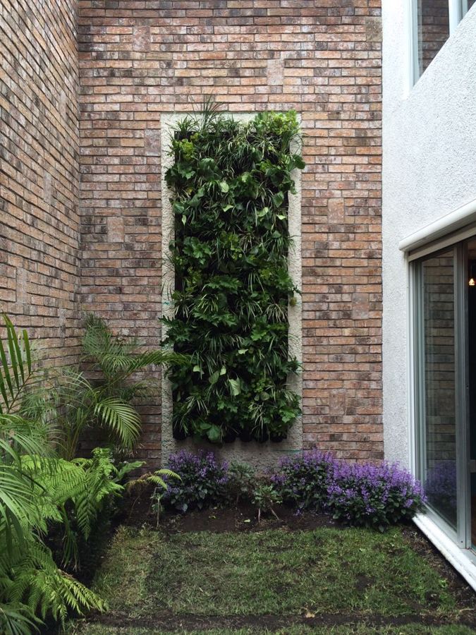 En 2 hrs un jardín vertical totalmente terminado, con riego manual
