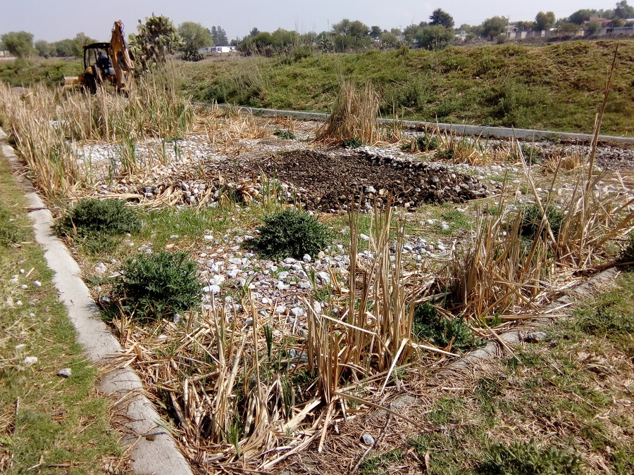 ESTADO ANTES DE REHABILITAR