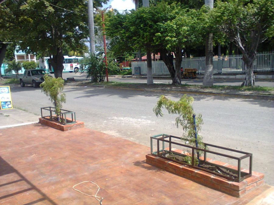 Estructura de Jardinera