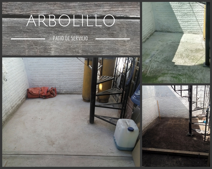 Firme de concreto en patio trasero.