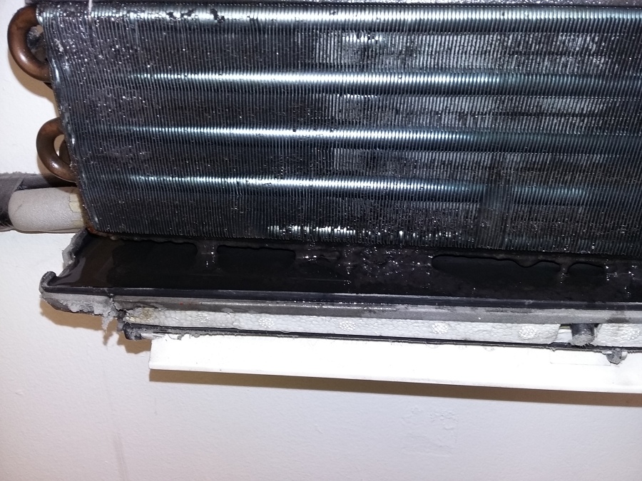 FOCO DE INFECCIÓN DE UNA EVAPORADORA POR DENTRO (ACUMULACIÓN DE BACTERIAS) POR FALTA DE MANTO.