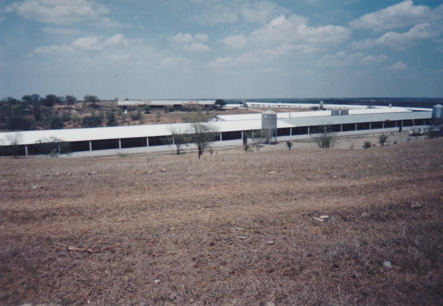 Foto de naves a la distancia (trabajo en punto medio)