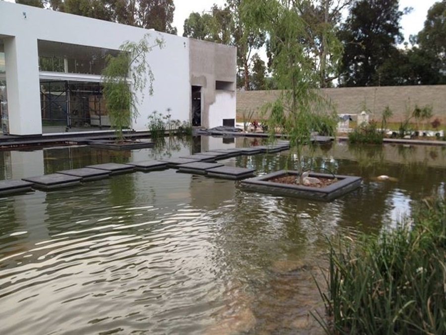 Foto general del estanque en San Luis Potosí