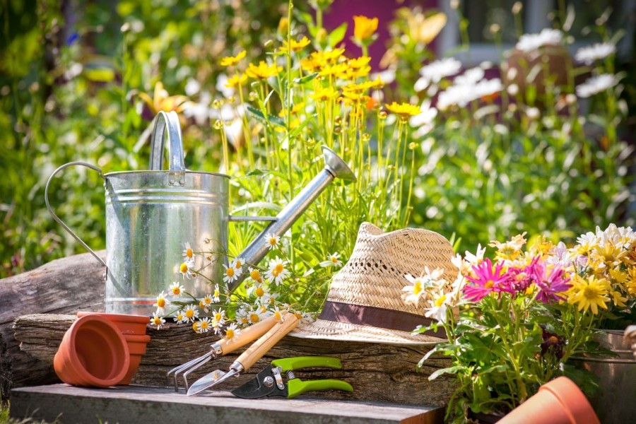 Garden1-1024x683