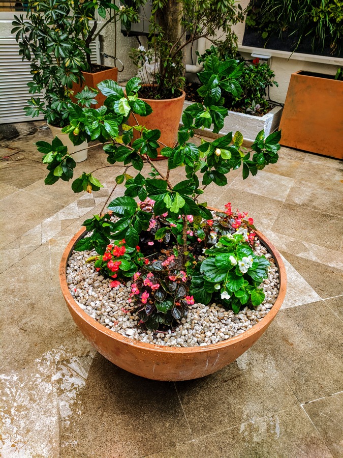 Glorieta Verde