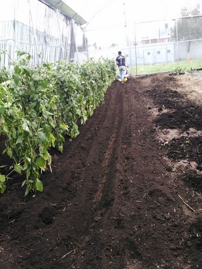 HACIENDO SURCOS