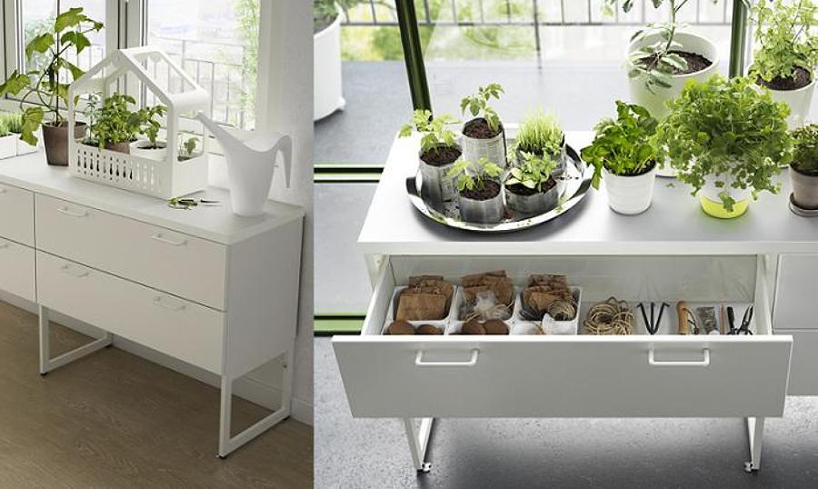 Crea un Huerto Urbano a Partir de un Hueso de Aguacate | Ideas Jardineros