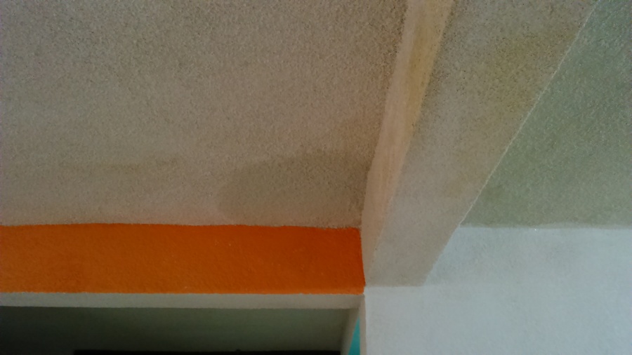 HUMEDAD EN CASA HABITACION.