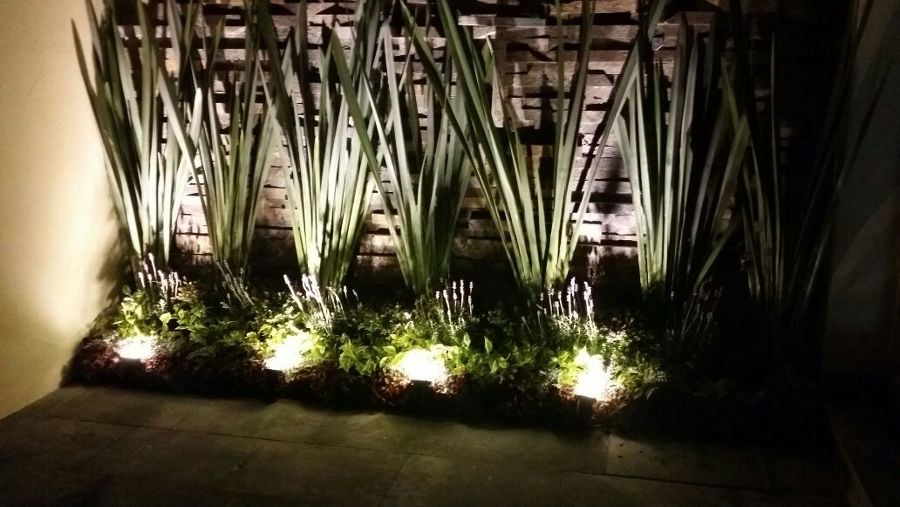 Iluminación en jardin