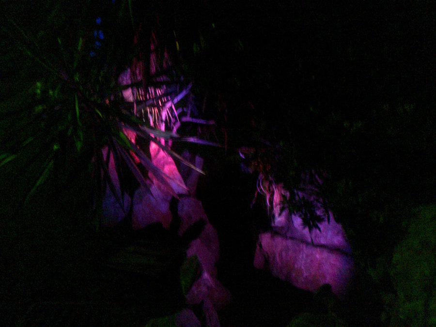 ILUMINACIÓN JARDIN