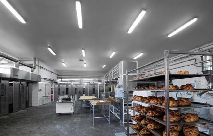 Industrial cocina