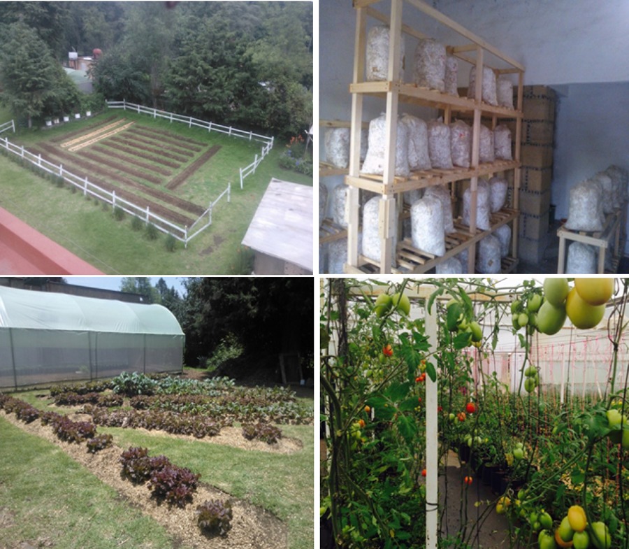 Instalación/Módulo de producción/huerto/Tres Marías,Huitzilac,Morelos.