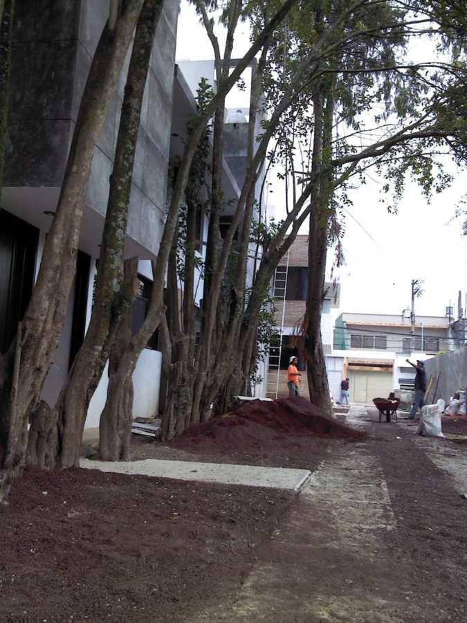 Interior del Conjunto