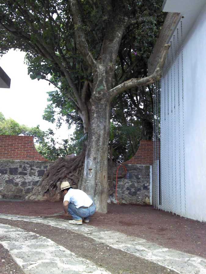 Interior del Conjunto