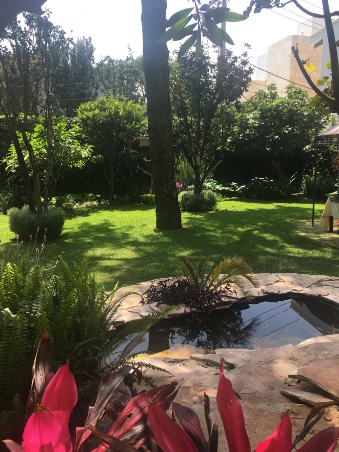 Jardín con estanque