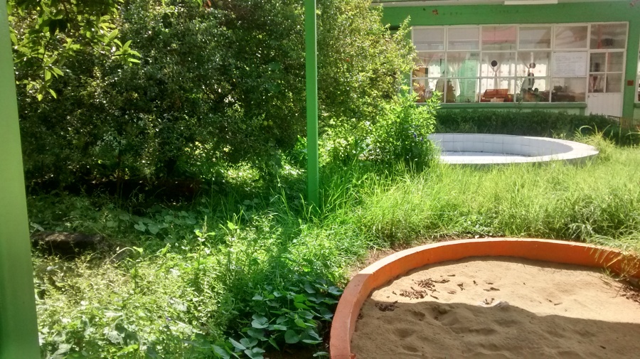 Jardín de Niños Telpochcalli