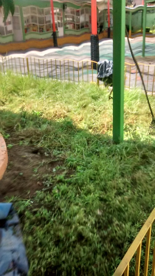 Jardín de Niños Telpochcalli