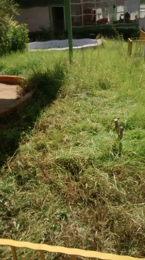 Jardín de Niños Telpochcalli