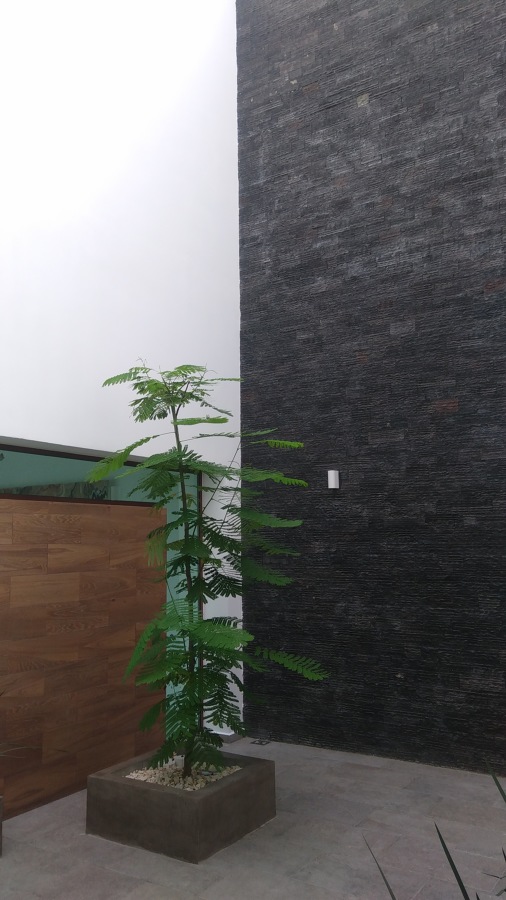 JARDIN INTERIOR