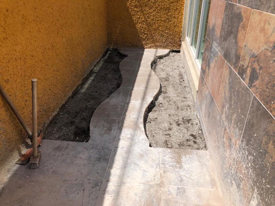 JARDIN PROCESO
