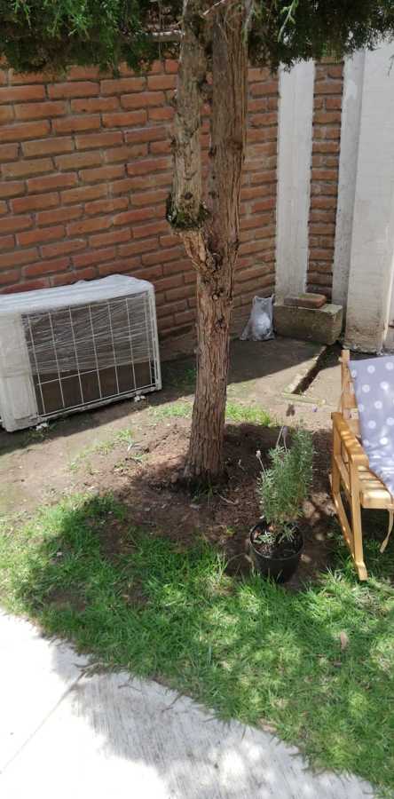 Jardin sin manejo y espacios muertos