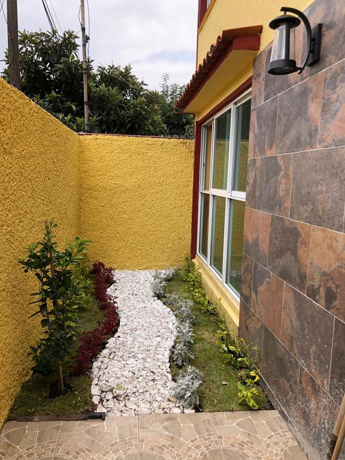 JARDIN TERMINADO