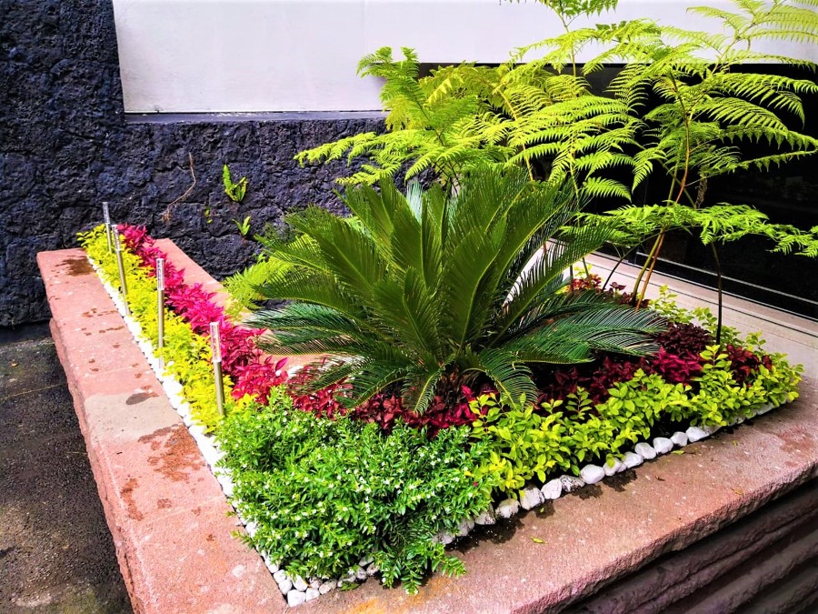 Jardinera del Estacionamiento